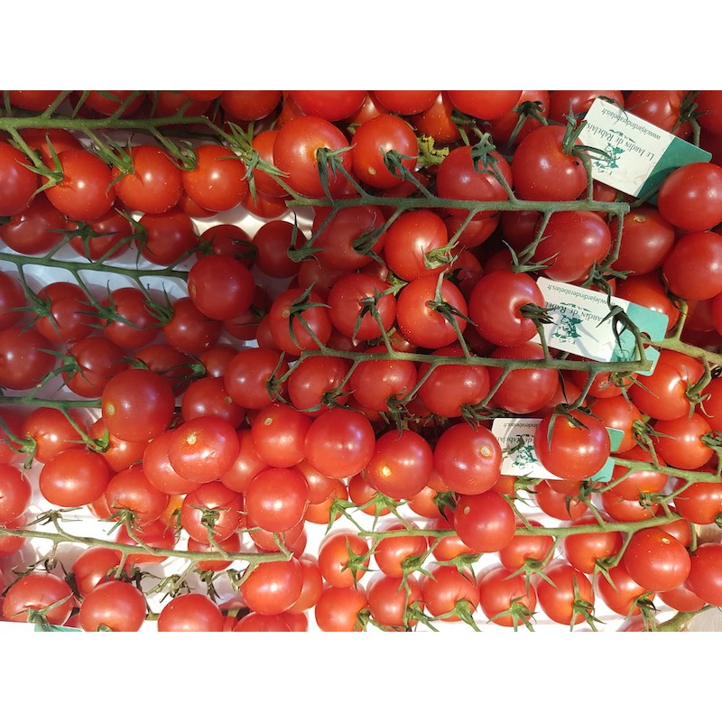 Tomate cerise Rabelais (250g) en drive chez votre primeur aux Halles de la  Grande Fontaine à Neufchâteau