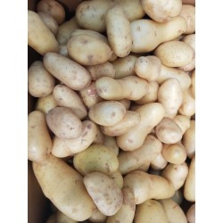 Pommes de terre Agata - 1 kg