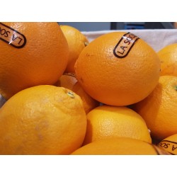 Oranges Socculente - 1kg