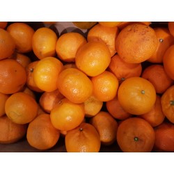 Mandarines - 1kg