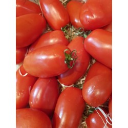 Tomates torino - 1kg