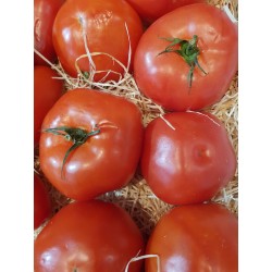 Tomates à farcir - 500g